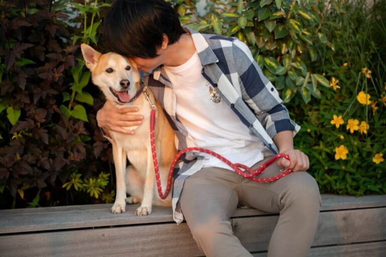 Top Careers for Dog Lovers Find Your Perfect Fit