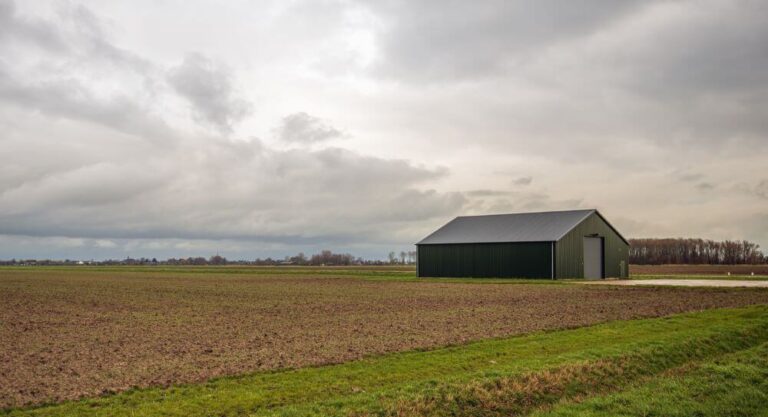 Why Metal Sheds Are a Smart Investment for Businesses