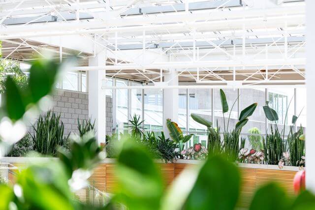 Designing An Environment That Supports Growth Designing An Environment That Supports Growth